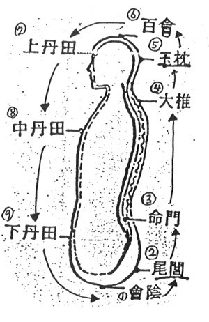 原文插图