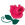 原文插图