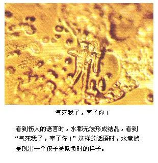 原文插图